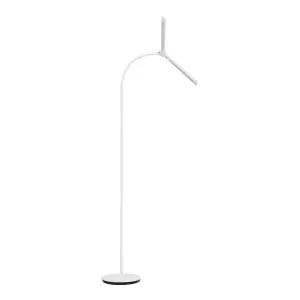 GLOW 6019 LEMPA ANT TRIKOJO