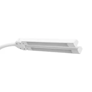 GLOW 6019 LEMPA ANT TRIKOJO