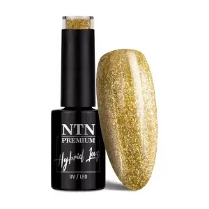 NTN Premium Celebration 170 / Nagų lakas 5ml