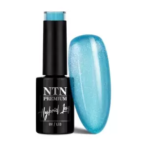 NTN Premium Impression 256 / Nagų lakas 5ml
