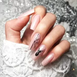 NTN Premium Ambrosia 156 / Nagų lakas 5ml