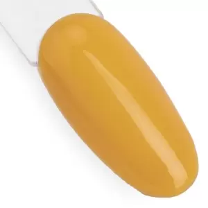 NTN Premium Show 110 / Nagų lakas 5ml