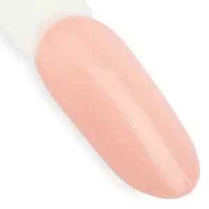 NTN Premium Topless 016 / Nagų lakas 5ml