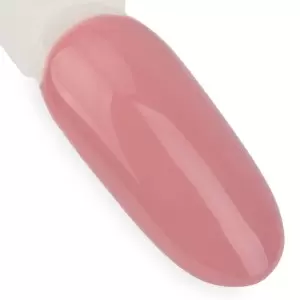 NTN Premium Dienos svajonė 058 / Nagų lakas 5ml