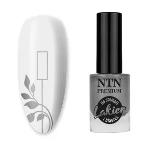 NTN Premium sidabro lakas antspaudams ir plokštelėms 7ml Nr. 91