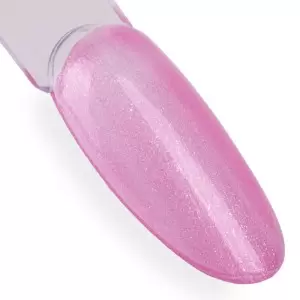 NTN Premium įspūdžio 254 / Nagų lakas 5ml