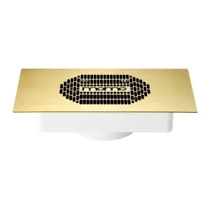 Momo S-41 Unterputz-Staubfilter, gold.