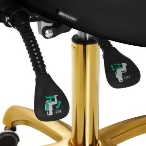 Kosmetinė taburetė 1004 Giovanni gold black
