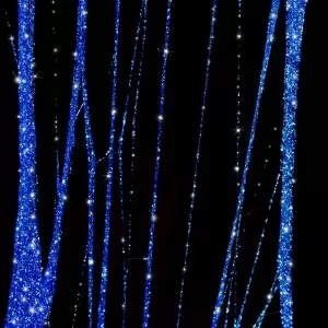 Spider Gel 3g, skirtas "Disco Flashing Excite" puošybai