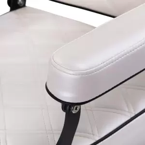 Стул парикмахера Carlos Extra Pearl
