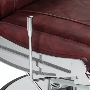 Kirpėjo kėdė Plaukų sistema BM88066 bordo spalvos