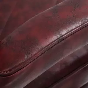 Kirpėjo kėdė Plaukų sistema BM88066 bordo spalvos