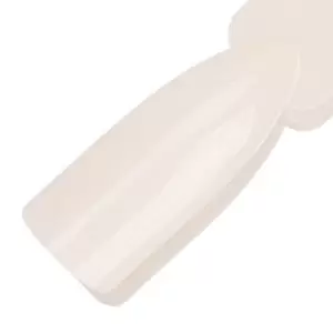 Ventoinha Sempler numa roda para géis, vernizes e pós 50 pcs.