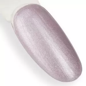 NTN Premium Dienos svajonė 056 / Nagų lakas 5ml