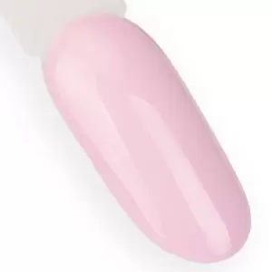 NTN Premium Gimtadienio vakarėlis 047 / Nagų lakas 5ml