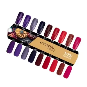 NTN Premium Oriental Delice 263 / Nagų lakas 5ml