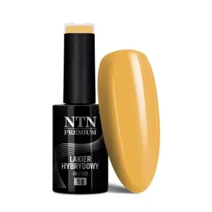 NTN Premium Seductive 129 / Nagų lakas 5ml