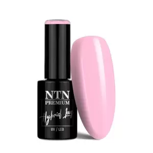 Ntn Premium Dessert 5g Nr. 93 / Gelinis nagų lakas 5ml