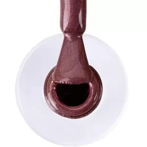 LED/UV Gel Polish Cat Eye Burgundy AlleLac 6g