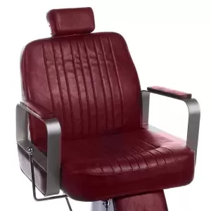 Kirpyklos homer bh-31237 iš vyšnių