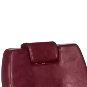 Парикмахерское кресло HEKTOR BH-3208 Cherry