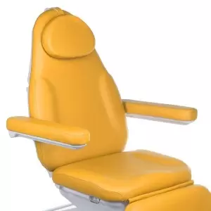 Elektros kosmetikos kėdės liepsnos grožis šiuolaikinis BD-8194, medus, 3 variklis