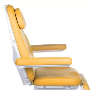 Elektros kosmetikos kėdės liepsnos grožis šiuolaikinis BD-8194, medus, 3 variklis