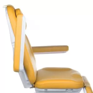 Elektros kosmetikos kėdės liepsnos grožis šiuolaikinis BD-8194, medus, 3 variklis