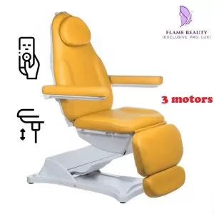 Elektros kosmetikos kėdės liepsnos grožis šiuolaikinis BD-8194, medus, 3 variklis