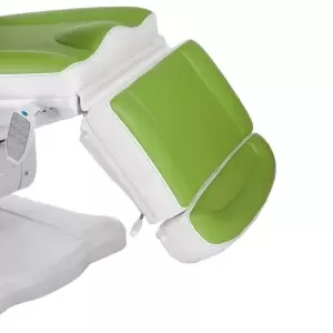 Elektros kosmetologijos kėdės liepsna Max 672B, žalia, 3 elektros variklis