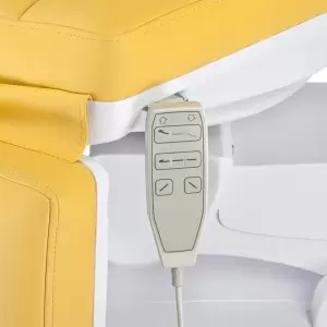 Elektros kosmetologijos kėdės Flame Max 672B, 3 Elektrinis variklis, Medus