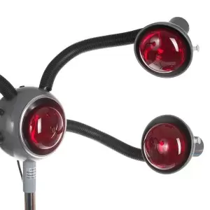 Inflazon sollux Appamus apie BR-639 trikojį