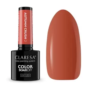 Гибридный лак для ногтей Claresa Autumn Crush 2,5 г