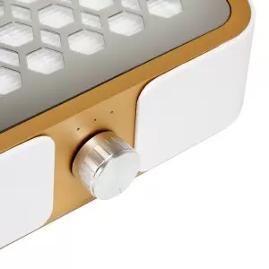 Momo P30 60W aukso dulkių surinkėjas