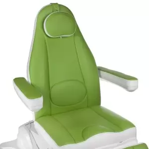 Electro Cosmetology Kėdė Flame Beauty Max BR-6672, Green, 4 Electro Drive
