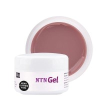 NTN Premium